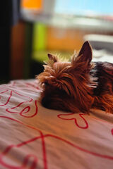 Фото користувача bainbridge