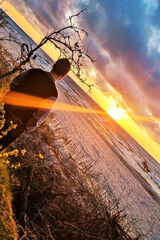 Фотография пользователя Damkokoszka