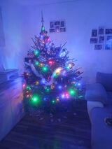 Foto utilizatorului bocianowski