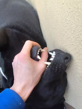 Фото користувача KlimeczekM