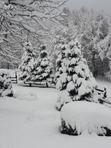 Foto pengguna GrzesiekUr