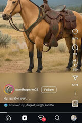 Photos lovepreetc516