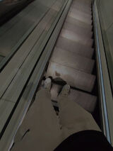 Фото користувача jakubzak1512005