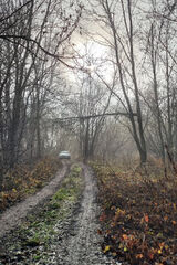 Фотография пользователя arkadiuszjelonek6