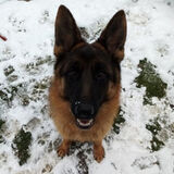 Фото користувача MichalLasota1992