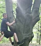 Fotos niebanalnykalafior