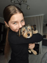 Фото користувача u2280375953