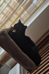 Фото користувача majkelek000