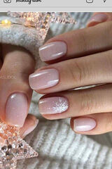 Benutzerfoto poltorakamelia3