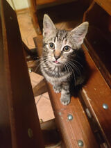 Фотография пользователя Simona1990