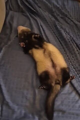 Fotka uživatele olmartransport