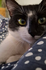 Фото користувача Bobocobra