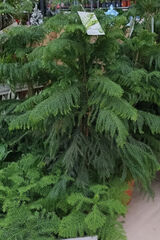 Фотография пользователя lluki8551