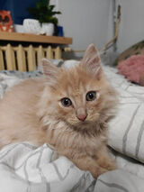 Фото користувача mi12341980