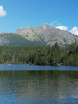 Фото користувача Mari77