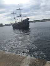 Zdjęcie użytkownika darekk1906