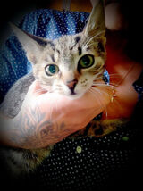 Фото користувача teedy000