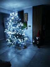 Foto utilizatorului nowaczykgr