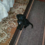 Фото користувача pawlos453421991