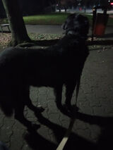 Фото користувача trochawaldemar69