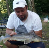 Zdjęcie użytkownika MuszynskiT