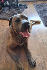 Фото користувача Artegorek