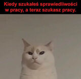 Fotos PozniejSieDowiesz