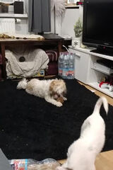 Photos szzablocki2002