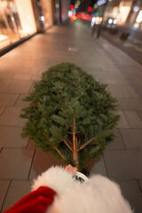 Benutzerfoto Exfornow