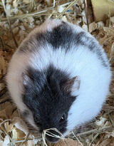 Фото користувача Lukas8403