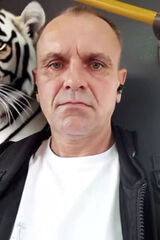 Fotos Msz30