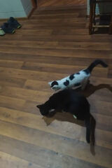 Фото користувача PrzemyslawKurzaj14