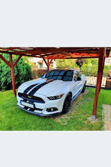 Foto pengguna kwiatek1230