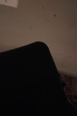 Fotos serpentyna1111