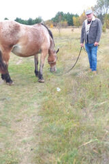 Фото користувача piotrjarzabek526