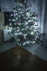 Benutzerfoto Inna1224