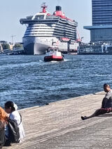 Foto pengguna grzegorznowak27111