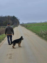 Benutzerfoto darekpiotrowski7