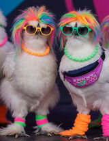 Benutzerfoto fifi11980