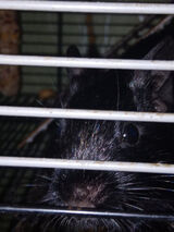 Benutzerfoto remigiuszbarczyk