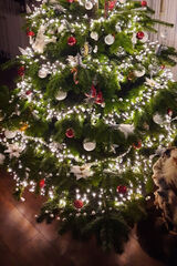 Фотография пользователя xTomek1313x