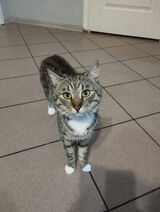 Photos julciaadas89zo