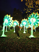 Фото користувача kamil8809