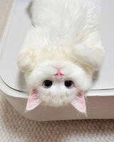 Фото користувача nilusia