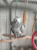 Fotka uživatele Krzysiek2103