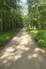 Фото користувача zako6677