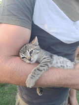 Фото користувача angelknopp88