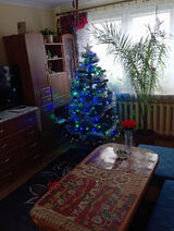 Benutzerfoto wronaleszek83