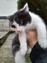 Фотография пользователя MateuszSobczyk1996