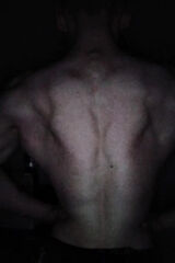 Фотография пользователя Simaloa